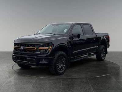 2026 Ford F-150 — rear three-quarter view