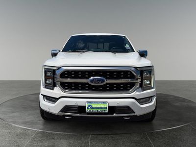 2021 Ford F-150 — side profile view
