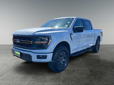 2025 Ford F-150 — rear three-quarter view