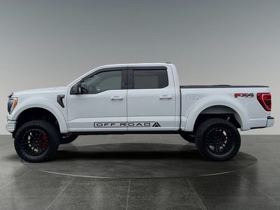 2021 Ford F-150 — detail view
