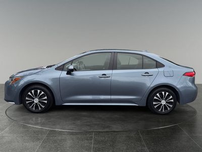 2020 Toyota Corolla — detail view