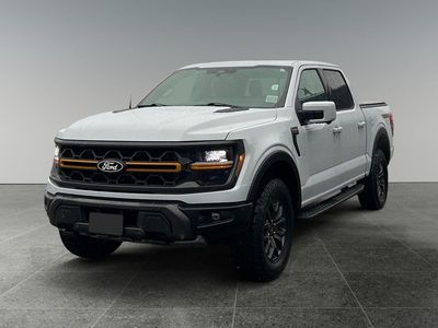 2025 Ford F-150 — rear three-quarter view