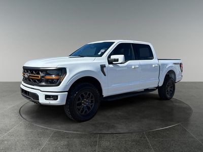 2026 Ford F-150 — rear three-quarter view