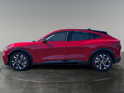 2021 Ford Mustang Mach-E — detail view