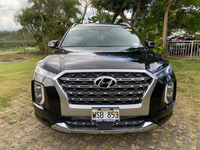 2020 Hyundai Palisade — side profile view