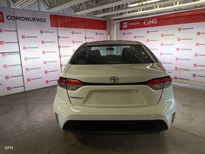 2023 Toyota Corolla — detail view
