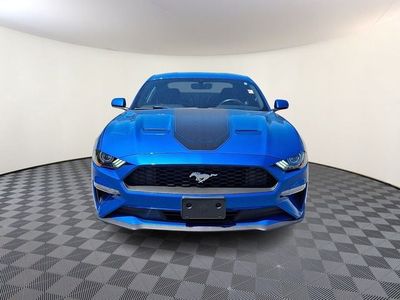 2019 Ford Mustang — side profile view
