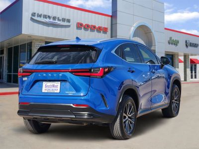 2023 Lexus NX 350h — detail view