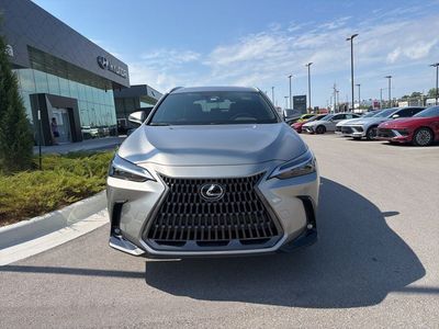 2025 Lexus NX — side profile view