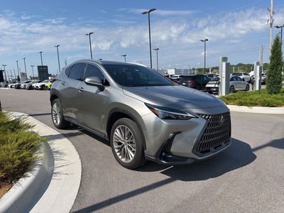 2025 Lexus NX — rear three-quarter view