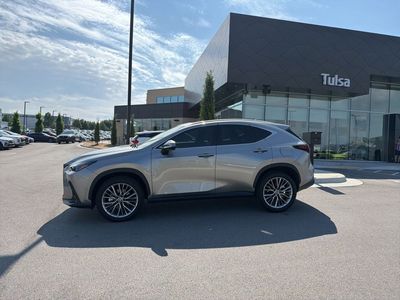 2025 Lexus NX — interior view