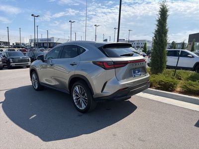 2025 Lexus NX — detail view