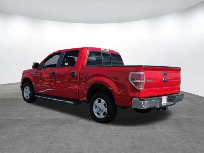 2014 Ford F-150 - Photo 6