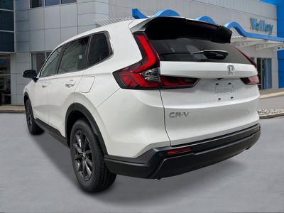 2026 Honda CR-V — rear three-quarter view