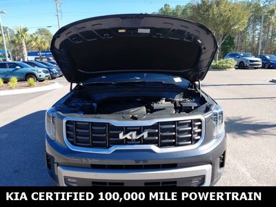 2023 Kia Telluride — photo 8 view