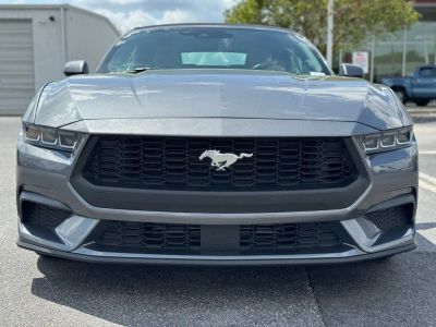 2024 Ford Mustang - Photo 4