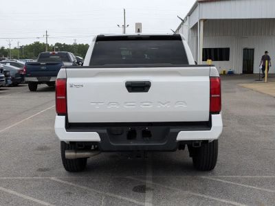 2024 Toyota Tacoma - Photo 4