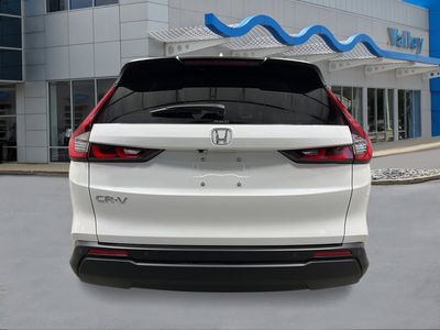 2026 Honda CR-V - Photo 4