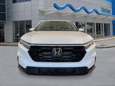 2026 Honda CR-V - Photo 8