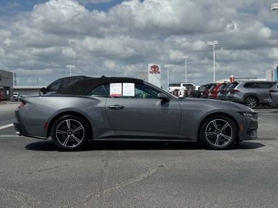 2024 Ford Mustang - Photo 7