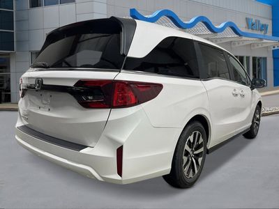 2026 Honda Odyssey - Photo 5