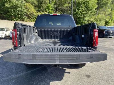 2024 Ford F-150 - Photo 12