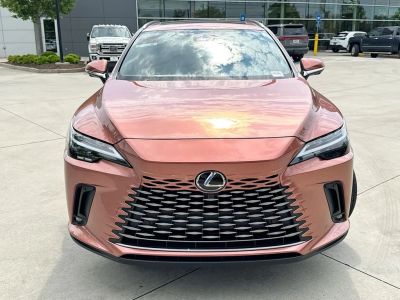 2023 Lexus RX - Photo 4