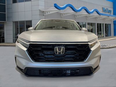 2026 Honda CR-V - Photo 8