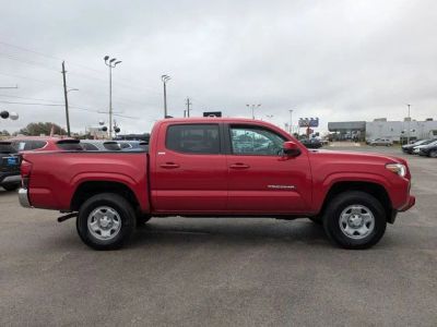 2023 Toyota Tacoma - Photo 6