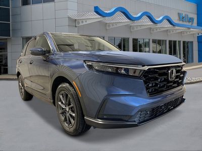 2026 Honda CR-V - Photo 7