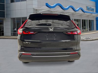 2026 Honda CR-V - Photo 4