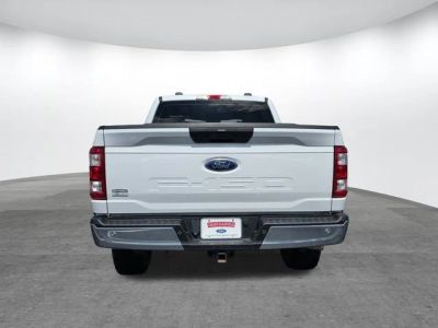 2022 Ford F-150 — interior view