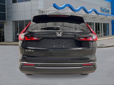 2026 Honda CR-V - Photo 4