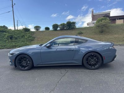 2026 Ford Mustang - Photo 4