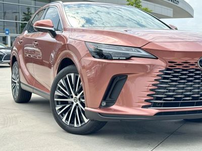 2023 Lexus RX - Photo 9
