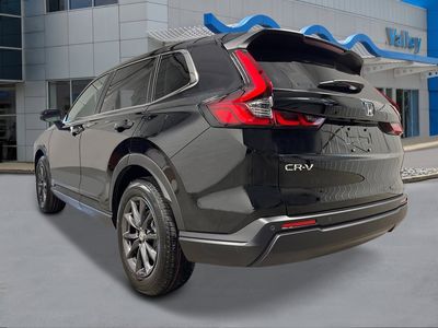 2026 Honda CR-V - Photo 3