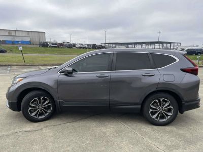 2020 Honda CR-V - Photo 6