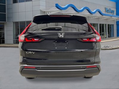 2026 Honda CR-V - Photo 4