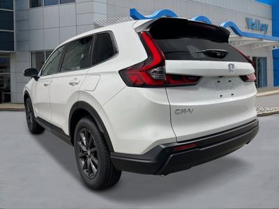 2026 Honda CR-V - Photo 3