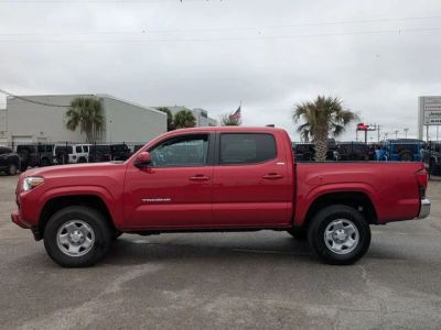 2023 Toyota Tacoma - Photo 2