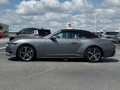 2024 Ford Mustang - Photo 8