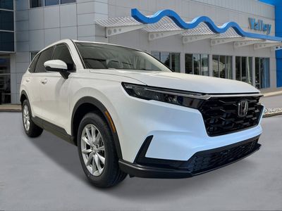 2026 Honda CR-V - Photo 7