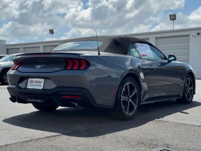 2024 Ford Mustang - Photo 11
