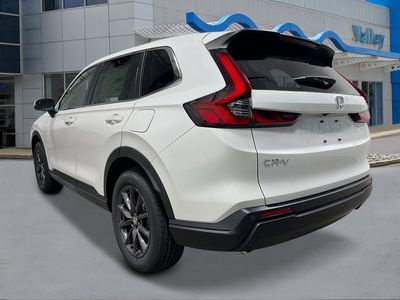 2026 Honda CR-V — rear three-quarter view