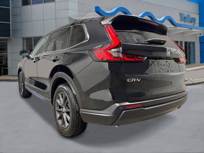 2026 Honda CR-V - Photo 3