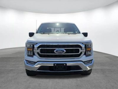 2023 Ford F-150 — side profile view