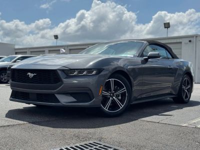 2024 Ford Mustang - Photo 6