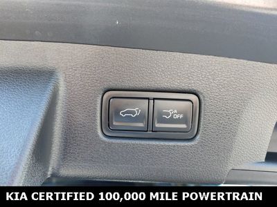 2023 Kia Telluride — photo 37 view