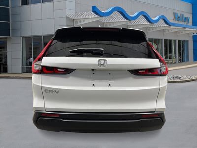 2026 Honda CR-V - Photo 4