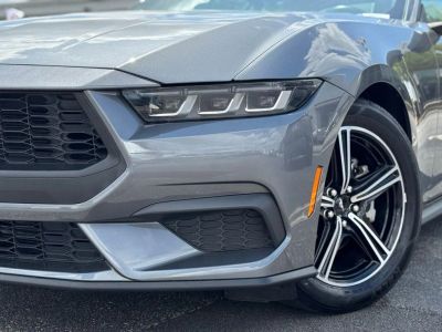 2024 Ford Mustang - Photo 5